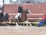 BPP_2273