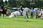 SBM_03732