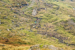 Peris Horseshoe-137