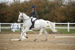 SBM_001541