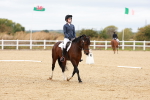 SBM_001341