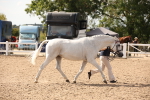 SBM_07053