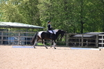 WJ6_8323