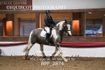1ST MARCH 2026 - DRESSAGE - MUIRMILL EC portfolio
