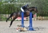 BPP_3811