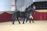 SBM_04970