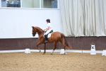 SBM_019261