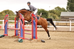 SBM_024296