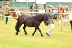 SBM_04325