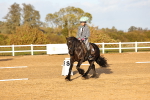 SBM_003288