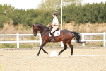 SBM_009947