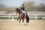 SBM_007293