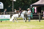 SBM_13678