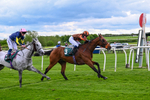 210526-Race 4-Analogical-4467