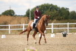 SBM_011943