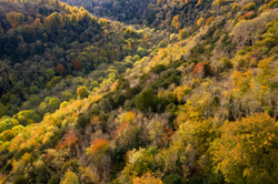 Autumn valley