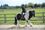 Bishops Court Farm - Dressage 30-05-25 portfolio