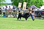 SBM_03659