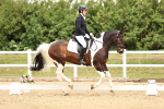 SBM_002952