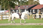 SBM_29534