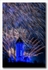 National Wallace Monument 2021 fireworks Display 02