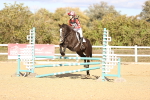 SBM_003392