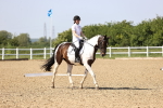 SBM_010115