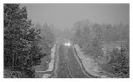 White Out