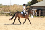 SBM_010615