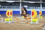 SBM_001616