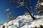 Fløyfjellet, Bergen