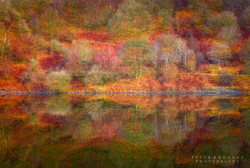 Autumn Reflections