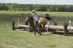 BVHT 140517  IXC -799