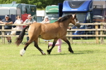 SBM_02075