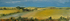 Hampshire Fields (2007)