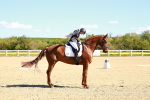 SBM_000179
