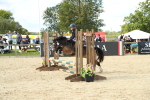 SBM_39491