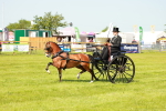 SBM_02681