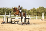 SBM_03831