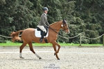 Cls 3 Novice 24 portfolio