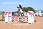 BPP_1181