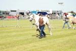 SBM_01675