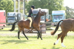SBM_09734