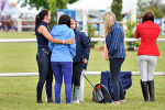 EQUISCOT 9387