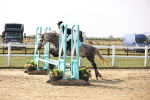 SBM_001897