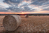 Stow Hay Bales
