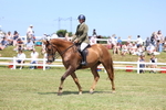 3E7A8723