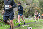 Dovedale Dash-1534