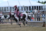 WJ7_0668