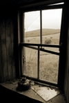 Lamp by broken window Dulax
